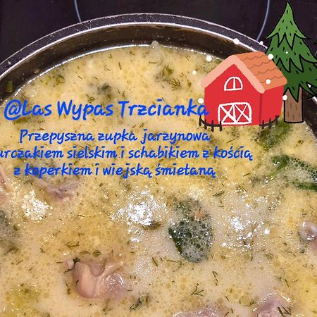 Noclegi "Las Wypas" Trzcianka Exteriör bild