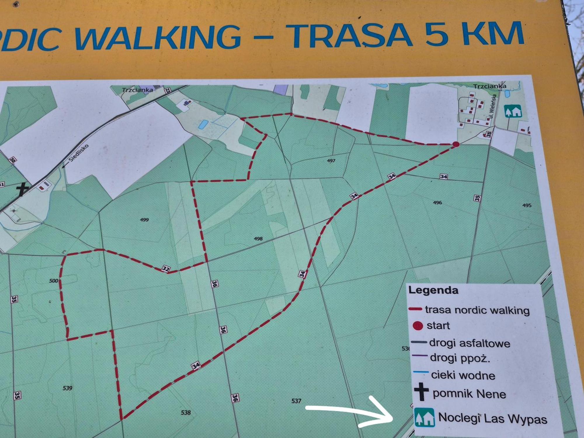 Noclegi "Las Wypas" Trzcianka Exteriör bild